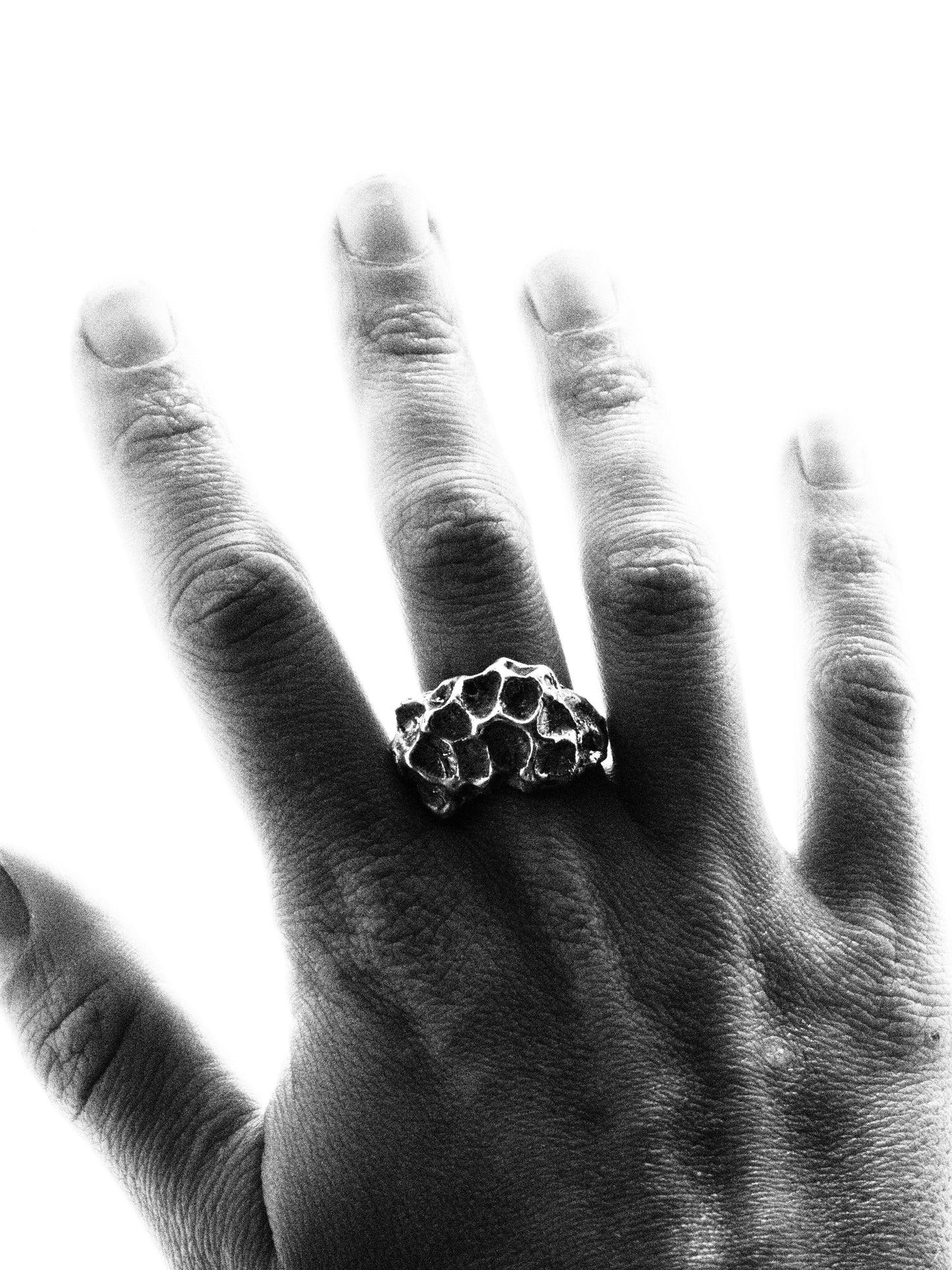 Anillo Arrecife