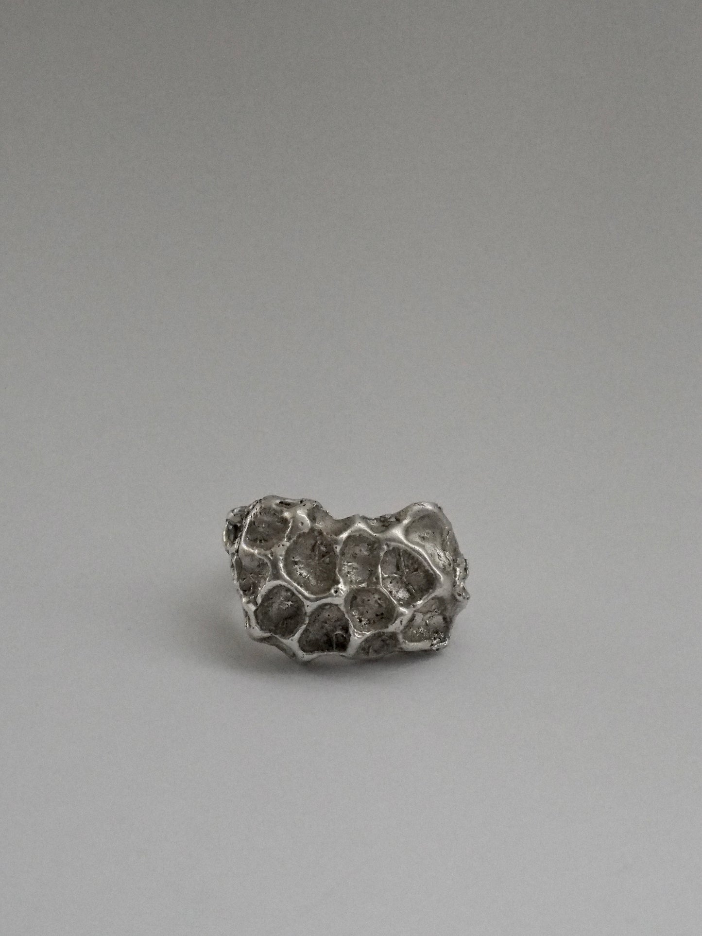 Anillo Arrecife
