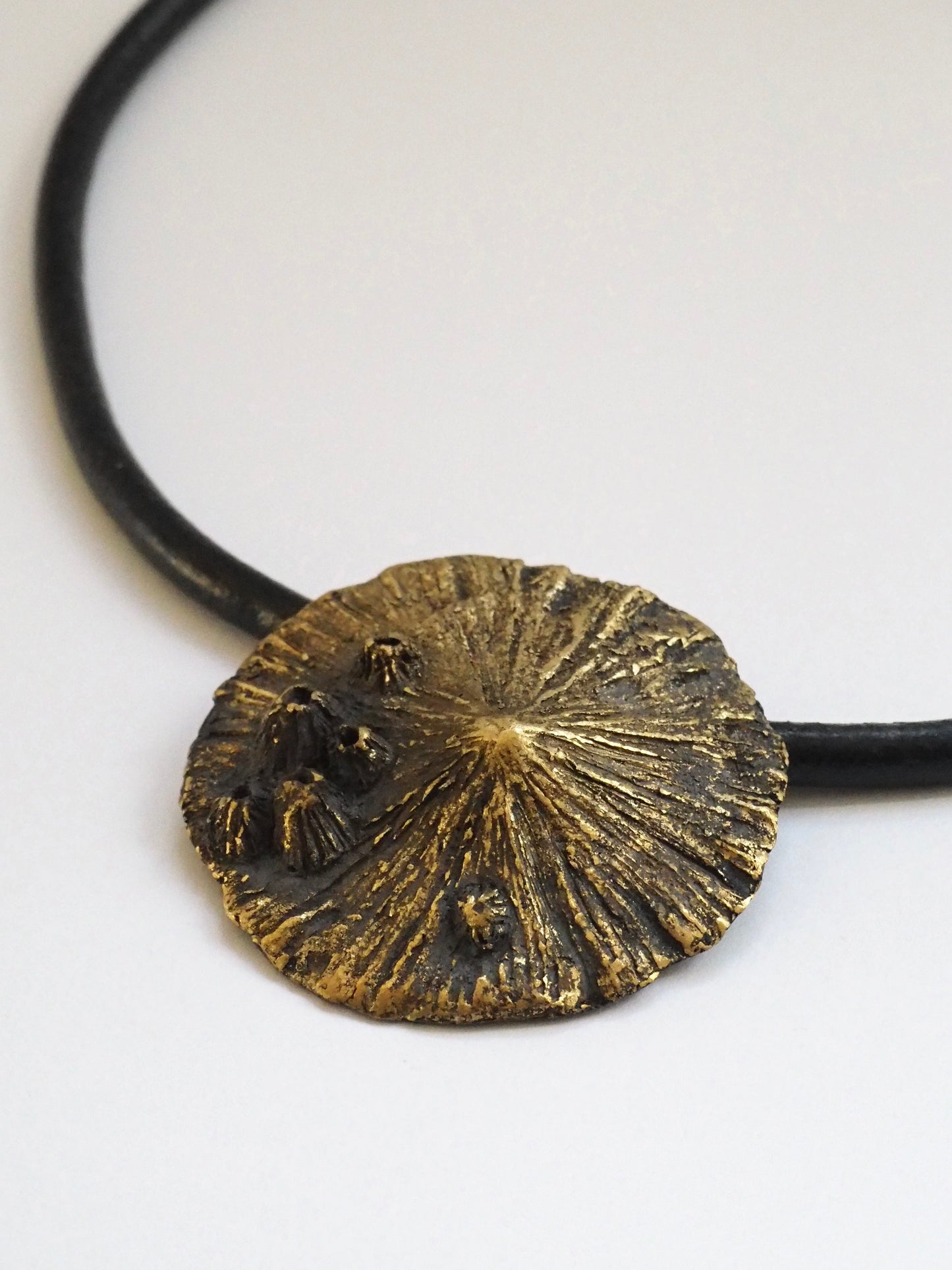 Collar Lampro