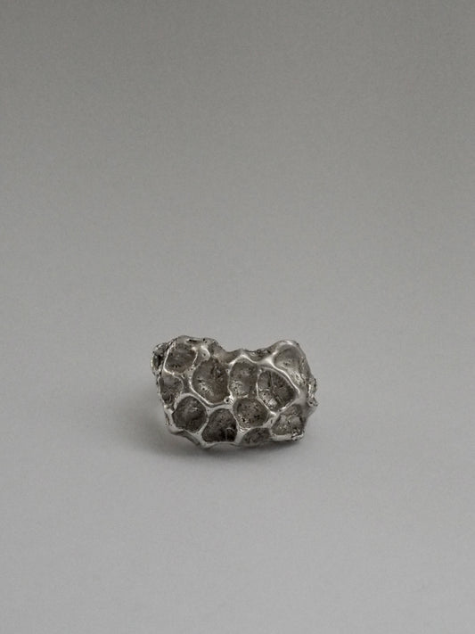 Anillo Arrecife
