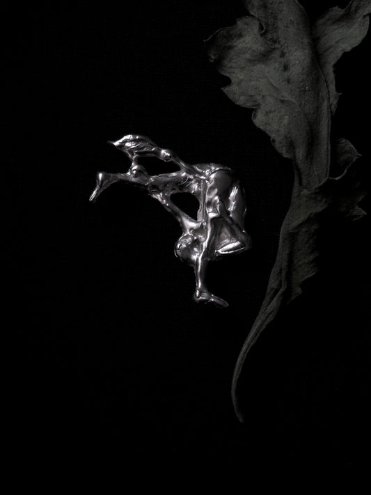 Pendienche/ Broche Pájaro curioso.